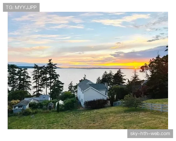 刷到扎克拉文家的泳池照——里面竟然还有个小岛，我连自家阳台都没有